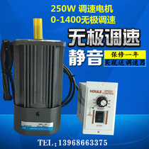 Household speed control motor Electric reducer 250W electric motor speed controller AC mute