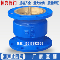HC41X-16 Flange Anechoic Check Valve DN40 50 65 80 100 150 200