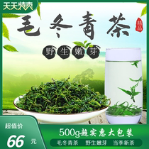 Mao Dongqing Chinese herbal tea leaves of Yunnan wild bud 500g green mountain green water tea exhibition