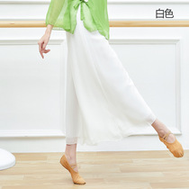 Classical dance double-layer chiffon pants dance practice suit women loose high waist wide leg pants modern ethnic dance costume