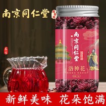 Nanjing Tongrentang National Medical Center Luoshenhua Dried Roselle Tea Liquor Rising Tea Flagship Store hx
