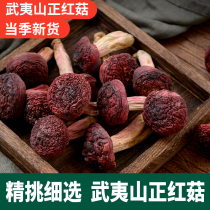 Yong Yi mushroom New Shi Fujian Wuyi Mountain Wild Mushroom Authentic Wild Red Mushroom Dry 100g
