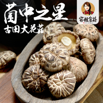 Sister Rong eats mushrooms dried shiitake mushrooms Gutian specialty mushrooms large flower mushrooms dried shiitake mushrooms 500g in bulk