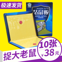 Livable strong mouse board home mousetrap indoor odorless rodent rodent killing restaurant Office mouse glue paste