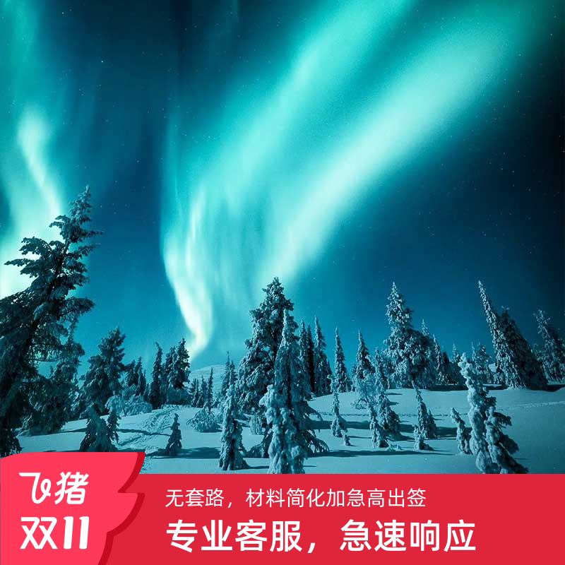 ️想去芬兰旅行?这款【中侨】芬兰瑞典旅游签证绝对让你省时省力!🌟-旅游-淘宝好物网