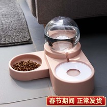 Cat bowl double bowl automatic drinking dog bowl cat bowl pet drinking water one anti-knock cat food bowl cat supplies