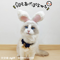 Sky Cat Rabbit Ear Cat Headgear Puppet Headwear Cute Pet Jewelry New Year transformation Cat Hat