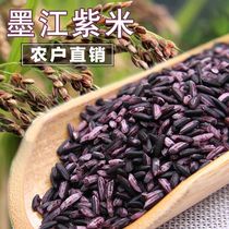 Yunnan Mojiang purple rice old varieties purple glutinous rice Rouge rice blood glutinous rice purple rice porridge bread raw material grains