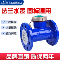 Large diameter water meter Mechanical flange liquid seal digital screw wing rotor type detachable water meter Heron Island dn32 40mm