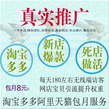 淘宝天猫阿里拼多多网店铺真实推广指导优化电商代运营销包月服务