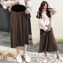 Pregnant woman skirt autumn and winter wear fashion mid-length A-line pleated skirt hot mom skirt spring and autumn tutu