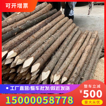 River flood control piling wood Oosong Wood 3 meters 4 meters 6 meters log diameter 10-18 landscaping support rod round wood