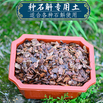 Special pine bark fermentation matrix soil sawdust wood bark golden hairpin drumstick Dendrobium officinale base orchid soil
