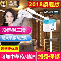 Golden rice steamer hot and cold double spray nano water spray beauty instrument household hot spray machine whitening detoxification beauty salon