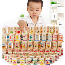 200 Digital Chinese Character Fruit Cognitive Domino Building Blocks Male and Female Children Literacy Early Education Educational Toy