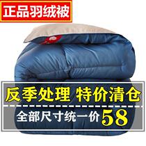 100% duvet 95 white goose down Spring and Autumn quilt warm thick winter quilt student single double quilt quilt quilt core