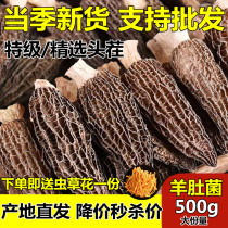 Yunnan selected Yunnan Yunnan Yangbacteria in 2022 new special fresh amygobacteria dry mushrooms