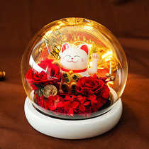 Wealth cat creative Doll Doll rose forever flower glass night light to give girlfriend birthday gift exquisite gift