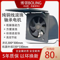 Bo collar 10 inch kitchen fume fan household powerful exhaust fan exhaust fan window type wall exhaust smoke ventilation fan