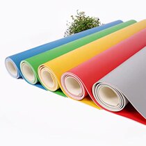 Big dragon environmental protection pvc plastic floor hospital dance gym wear-resistant 2 0mm kindergarten factory beauty salon
