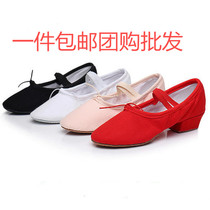 Teacher shoelaces with dance shoes Womens soft-soled practice shoes National dance belly dance Chinese dance Yoga body dance shoes