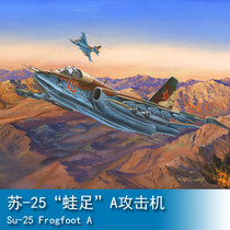 Trumpet player 1 32 Su -25 Frog Foot A attacking machine 02276