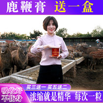 Jilin deer whip cream high purity deer whip pill ginseng deer antler male deer blood oyster nourishing health care
