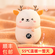 Warm baby stickers for girls with big aunt warm Palace stickers winter warm body warm warm stickers menstrual period fever charging cute