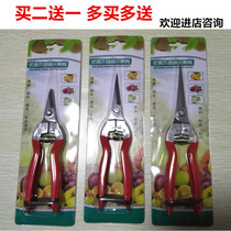 Stainless Steel Picking Fruit Cut Rare Fruits Cut Branches Cut Flowers Cut Prickly Pepper Citrus Seeds Grapefruit Picking Scissors Fruit Cut