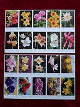 Wonky flowers and other sparks 38 1 full