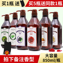Massage essential oil Whole body ginger oil Body Tongmingluo Gua Sha Open back rosehip oil Beauty salon Jojoba oil