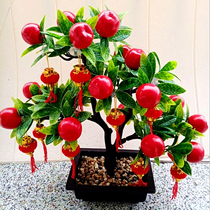 Rich fruit money tree simulation fruit fake Apple peach orange tree potted plastic fake flower living room sprinkler decoration