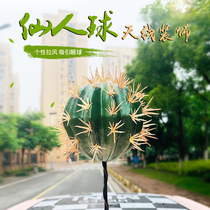 BMW car mini antenna ball roof decoration simulation cactus ball cactus tremble sound with modified cooper