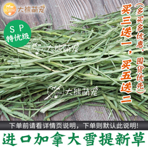 (Buy three delivery one) plus two-pressure Canadian Syracuse Grass Section Rabbit Dragon Cat Guinea Pig Feed Grass