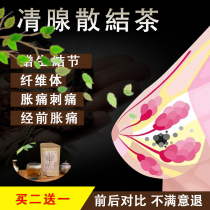 Breast tea Chinese medicine dandelion breast swelling tingling swollen lump lobule hyperplasia chest dredging powder nodule tea