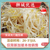 (Vegetable) Small bean sprouts 1kg Singapore local delivery