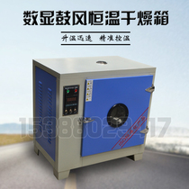 Digital display blast constant temperature oven Industrial oven Laboratory oven Drying oven