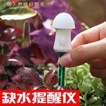 Intelligent lazy home plant humidity water shortage reminder instrument Gardening tools Potted succulent soil humidity detector