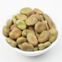 New green broad beans 2kg fresh bulk raw broad beans Luohan beans dry beans can germinate fried broad bean snacks