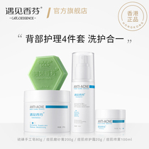 Hong Kong back acne removal to the front chest mouth back back back body acne removal official flagship store
