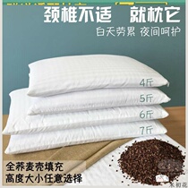  Elderly rice husk hotel high pillow student adult double pillow long Chinese household buckwheat teenagers can