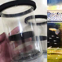 Guppy spawning irrigation viviparous fish spawning box Small fish isolation box Tropical fish incubation box Guppy breeding box