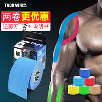 Muscle Patch Movement Bandage Muscle Intramuscular Sticking Cloth Ankles Lacinjury Professional Rehabilitation Muscular Strength Elastic Strap Adhesive Tape