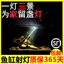 South American fish tank spotlight led aquarium aquatic grass Three Lakes native lighting zoom spotlight Sensen yee same spotlight