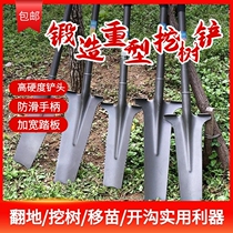 Iron Shovel Dug Hole Dug Tree God Instrumental Agriculture Special Iron Shovels Outdoor Digging Earth Pit Tool Kao Sapling Root Pile Shovel