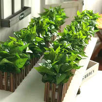 Simulation Green Loo Potted Hotel Mall Partition Balcony Placement Fake Green Plant Decoration Fence Flowers Fake Green Plant Potted Plants