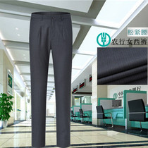Farm House Women Spring Autumn Pants Farm Line New Career Dress Blue Green Striped Bank Womens Western Pants Professional Dress Long Sleeves