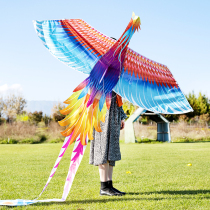 New phoenix kite childrens breeze easy-to-fly Weifang kite adult special kite Chinese style large high-end