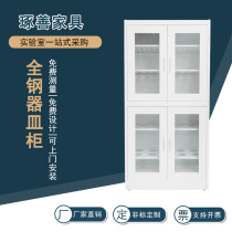 Full Steel Utensil Cabinet Laboratory of Aluminum Wood Medicine Cabinet Burning Cups Storage Cabinet Reagent Cabinet Cabinet Laboratory Sample Cabinet