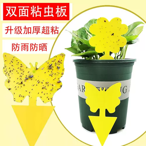 Двойные липкие порнографические ландшафты соблазнительные панели, парниковые сады, потушить разнообразные липкие мухи, бумажные желтые домохозяйственные липкие доски насекомых